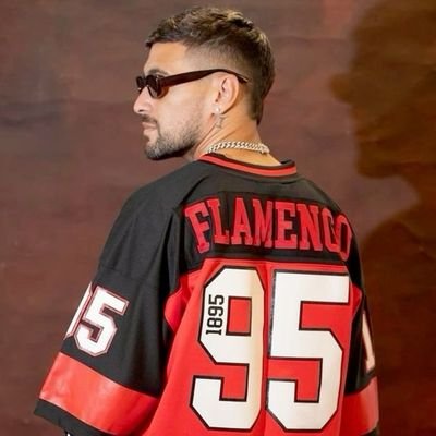 Pq eu escolhi ser flamenguista?