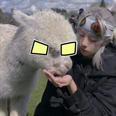 rodmknight's profile picture. 