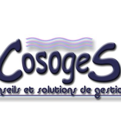 COSOGES's profile picture. Développement d'applications sur mesure, Expert WinDev, WebDev, WinDev mobile. Formation. TMA