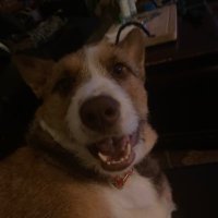 JW (@jwspsu) 's Twitter Profile
