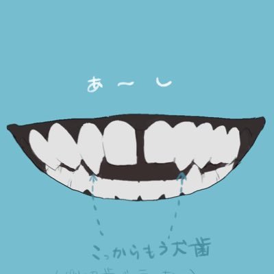 しろな🐹さんのプロフィール画像