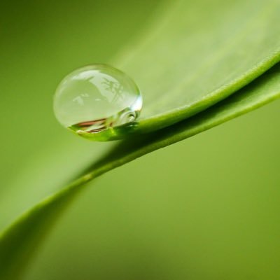 66fcMDfowu357's profile picture. Quietly exploring Kabuki in English — sharing moments of beauty.  Japan-based. 🪭✨