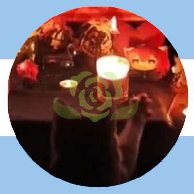 dillybeloved's profile picture. Diluc's husband