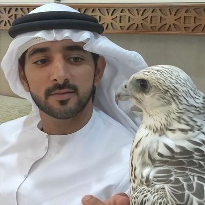 prince_ham31958's profile picture. Prince Hamden fazza 3 💙