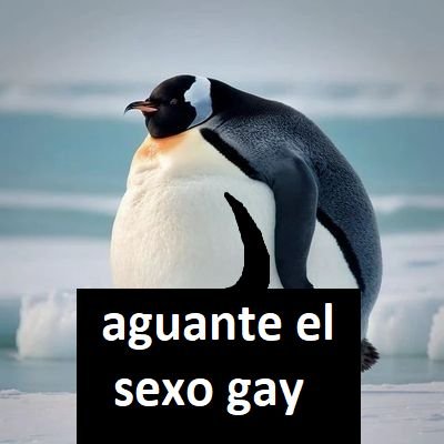 @RiceTheUnborn