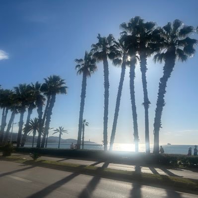 LindsayCOOPS's profile picture. 