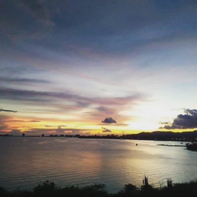 Richard94947924's profile picture. 