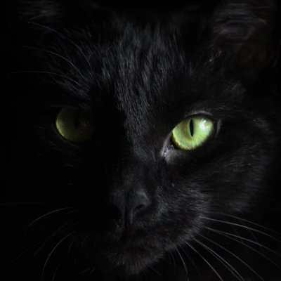 BossBitchSlave's profile picture. Become a Bitch we can do it (^__^)