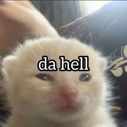 diiibii's profile picture. the time will pass anyway ~~ lots of random stuff it's a mess like the inside of my brain /// svt ult