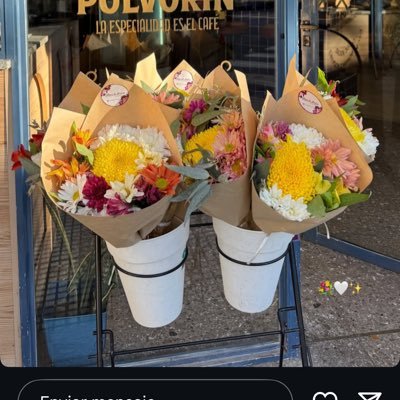 Lic_Pugberta's profile picture. 