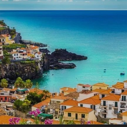 Davidking293776's profile picture. 