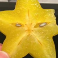 stopwhispering (@abtpistachio) 's Twitter Profile