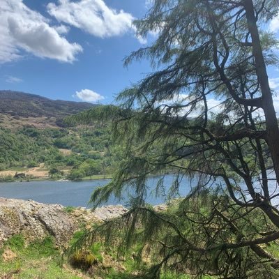 Brodie12Liam's profile picture. Just a truth seeking bricklayer and dad of 3 beautiful children…..living in a dystopian nightmare that is the U.K.