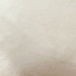 Stalkeate's profile picture. 