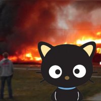 띠 (@tttttddi) 's Twitter Profile