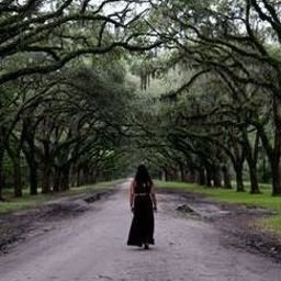 In a world of noise, I cherish the quiet mind, the art of restraint, and the freedom of an untamed soul