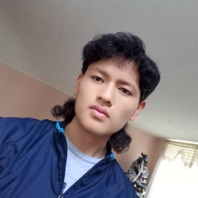 Software Engineer. Linuxero / Mid-Senior Developer / Q.A.Q.C. Tester / Freelancer.
