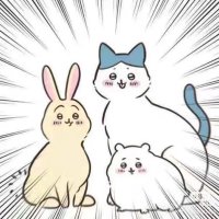 肚条 (@redpigseven) 's Twitter Profile