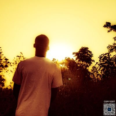JohellThrilles's profile picture. Transcendent || Nirvana
