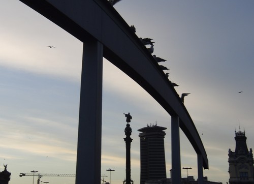 Aless4001's profile picture. 