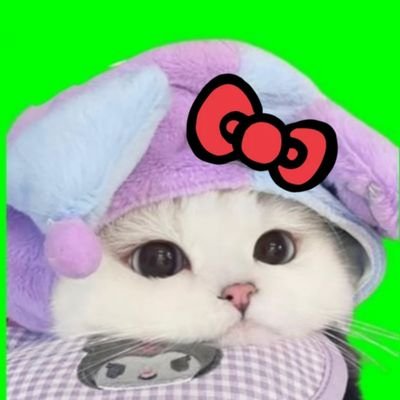@pockybean11