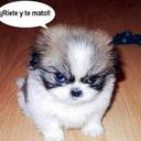 Javier Béjar Bolaino - @JavierBejarB - Twitter