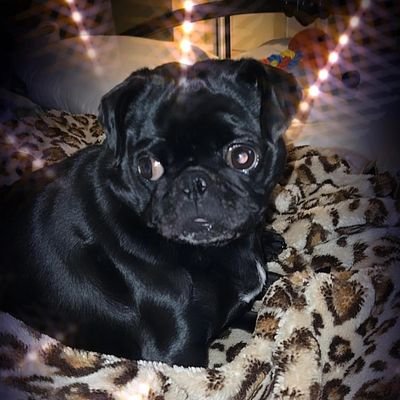 chubbyxbvnny's profile picture. ✨ Just for fun🥰