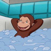 Curiosity (@curiousmonkey__) 's Twitter Profile