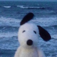 clari (@deftonesposer) 's Twitter Profile