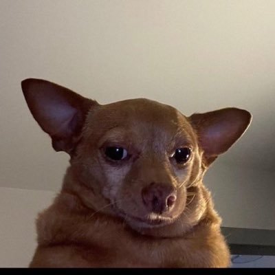 msbisiagain's profile picture. 