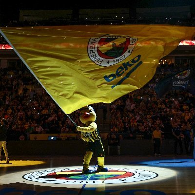 Fenerbahçe Beko'nun maskotu Yellow The Canary'nin resmi Twitter hesabı. #Yellow