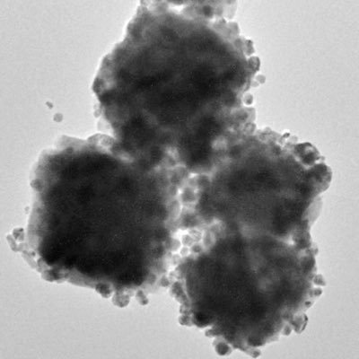 tw_trad's profile picture. 