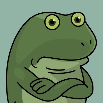 FrogeBNB's profile picture. $FROGE 🐸 Discord’s cult emoji turns memecoin on BNB. Same path as Pepe, but greener. Much greener.
