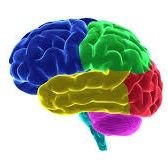 SEMH465169's profile picture. Sağlıkçı birliği etkinlik hesabı
Elektronörofizyoloji