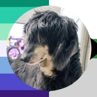 dakotabone🥏 (@bounzl) 's Twitter Profile