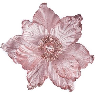 rinad1111333's profile picture. 