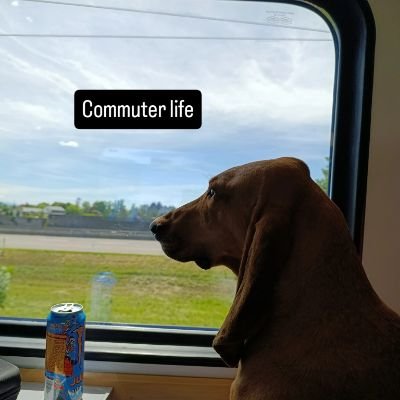 dog, plants, some news and conspiracies, from the river to the sea