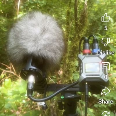 devneverdumps's profile picture. nothing