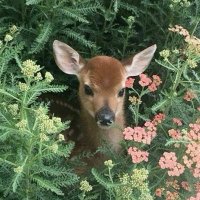 Lexi (8/14) (@lexiisstarvingg) 's Twitter Profile