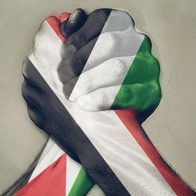 YamanYar0's profile picture. 🇾🇪🇸🇩🇮🇶🇱🇧🇮🇷