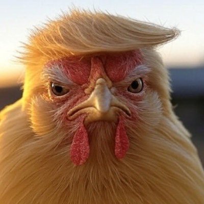 Father, Husband, Veteran, Classical Liberal (look it up before you kneejerk), Tesla