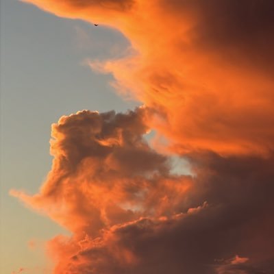 Enoch8881322114's profile picture. 