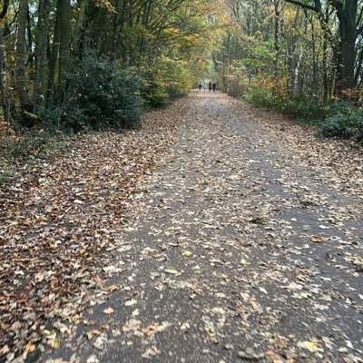 mark93058's profile picture. MMA, Muay Thai,