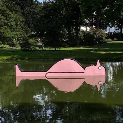 zynpkabiloglu's profile picture. 