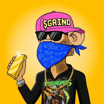 GXzavo's profile picture. Different. PHIL4:13