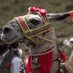 Llama Carguera (@lcarguera86458) Twitter profile photo Llama Carguera (@lcarguera86458) Twitter profile photo