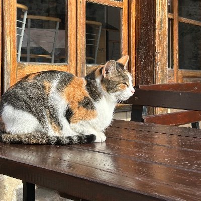 dhupar_sankalp's profile picture. MSc @rptu_kl_ld | Researching on Vision Language Models | Chess Enthusiast