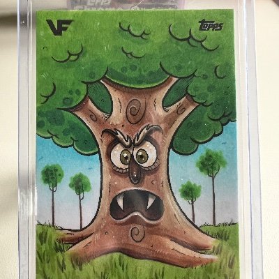 Architecture, Design, Home plans, DJ Streamer, dogs,Art, Digital Artist, Nft creator, Nft Collector, Veefriends, Spaceriders, PudgyPenguins, aKidCalledBeast