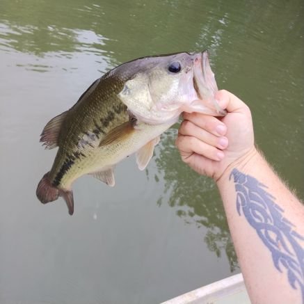 Spicyporkskins's profile picture.