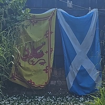 Celtic, Family and all over again
https://t.co/P4m3kNFiGb
